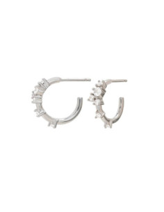 SILVER ORCHID | HOOPS