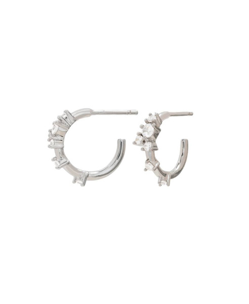 SILVER ORCHID | HOOPS