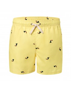 PLOUMANACH | TRUNKS